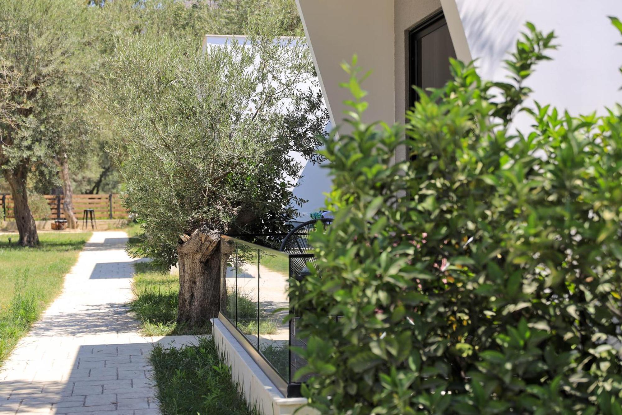 Luna Mare Boutique Seaside Borsh Exterior foto